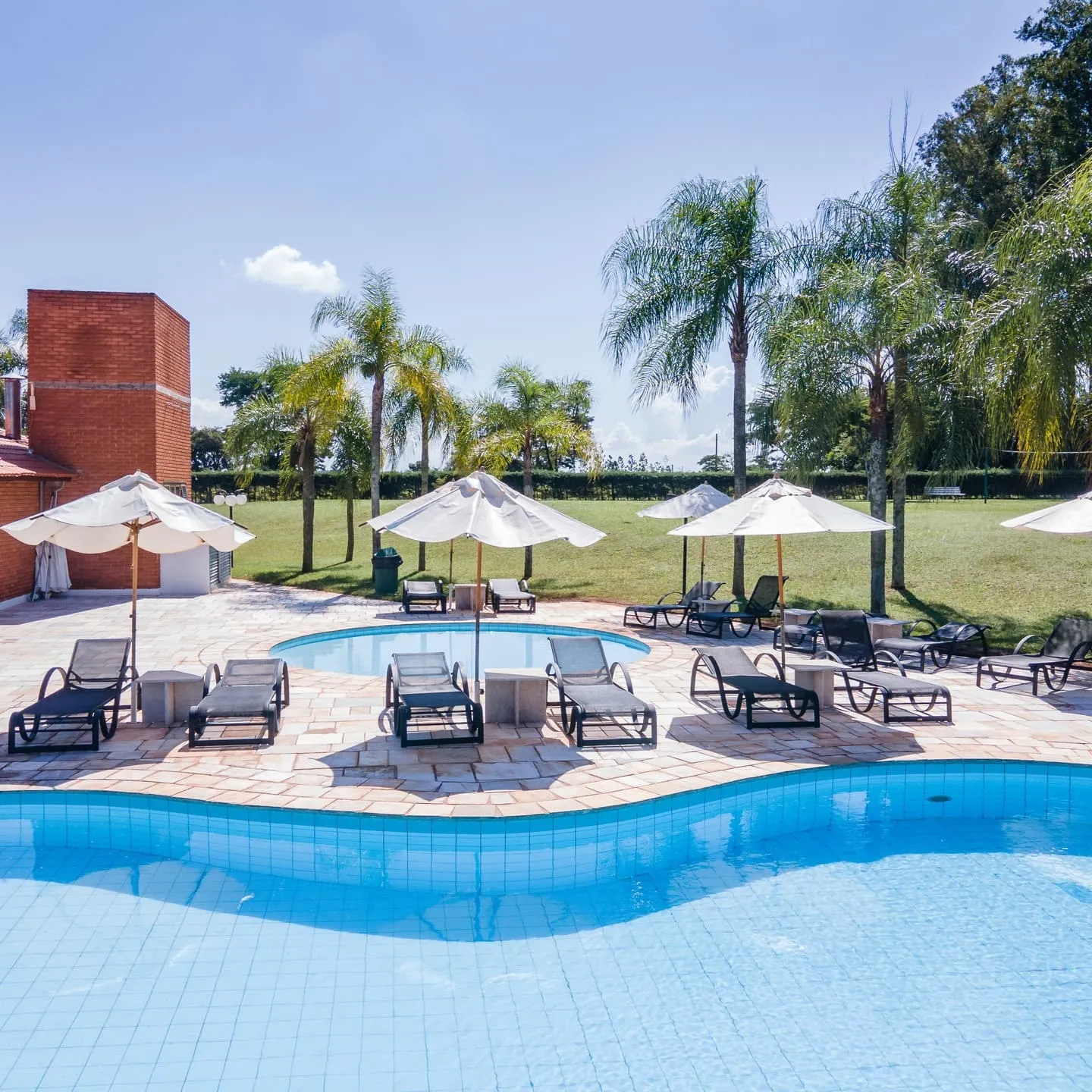 Lote SPA